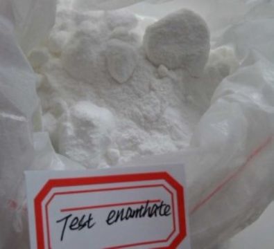 99% High Purity Steroid Powder Testosterone Enanthate (Cas No.: 315-37-7)
